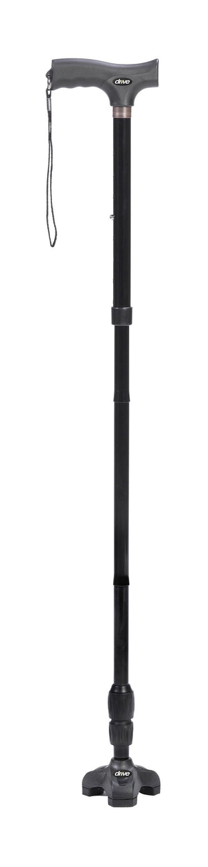 Flex-N-Go Cane